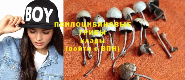 jwh Новодвинск