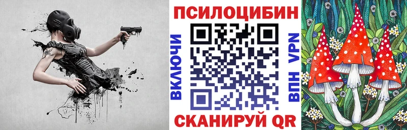 Галлюциногенные грибы мицелий  ссылка на мегу как зайти  Советск 